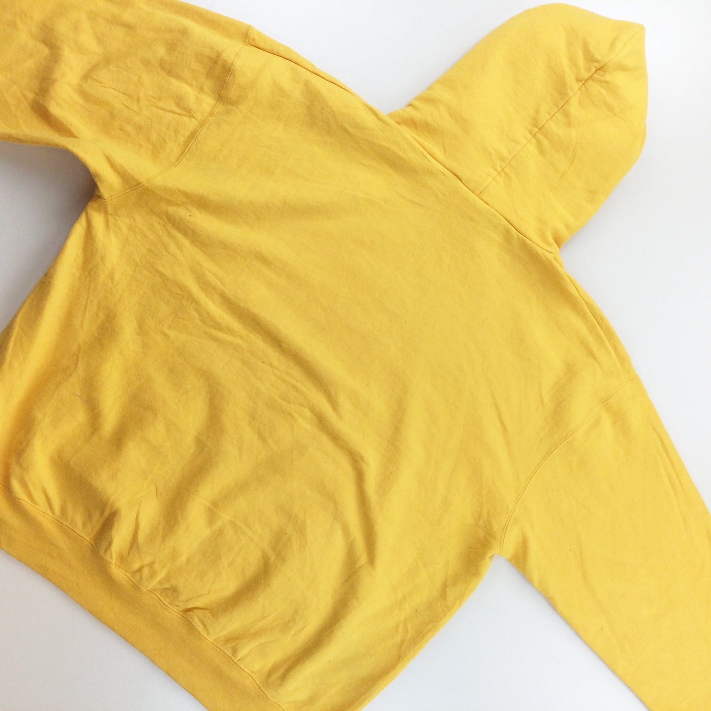 Champion x Golden Eagles Hoodie - XL-Champion-olesstore-vintage-secondhand-shop-austria-österreich