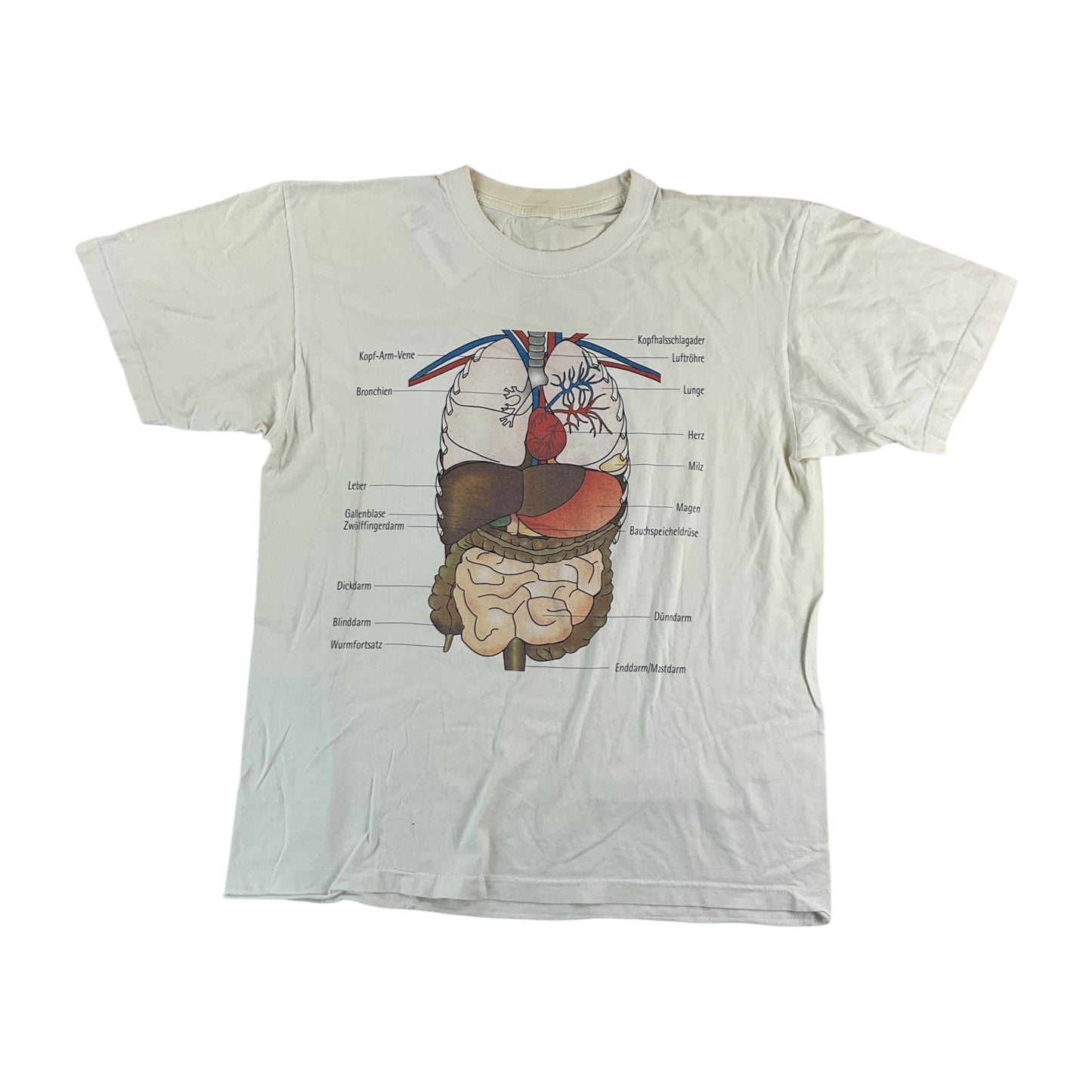 Anatomie 90s Grafik T-Shirt - Large-NO NAME-olesstore-vintage-secondhand-shop-austria-österreich